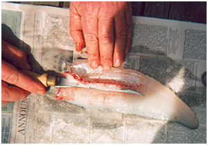 How to Clean Walleye
