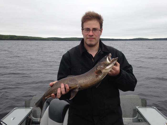 Northern Lake Trout Fish at Medicine Stone Resort, Red Lake, Ontario