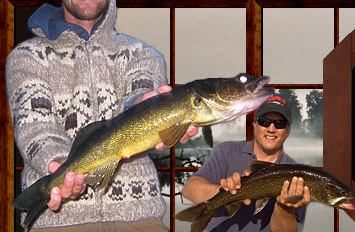 Man with a walleye catch