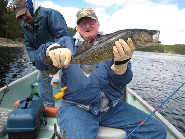 Walleye fish caught at Medicine Stone, Ontario
