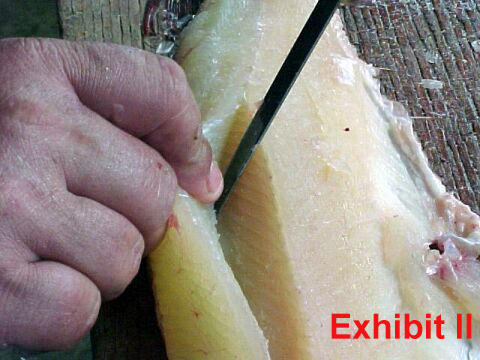 fillet pike remove y-bones from northern pike